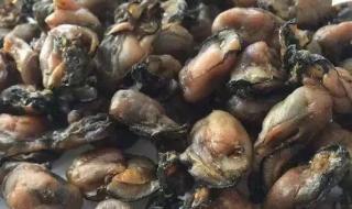 五邑大学欢迎你 五邑大学欢迎你